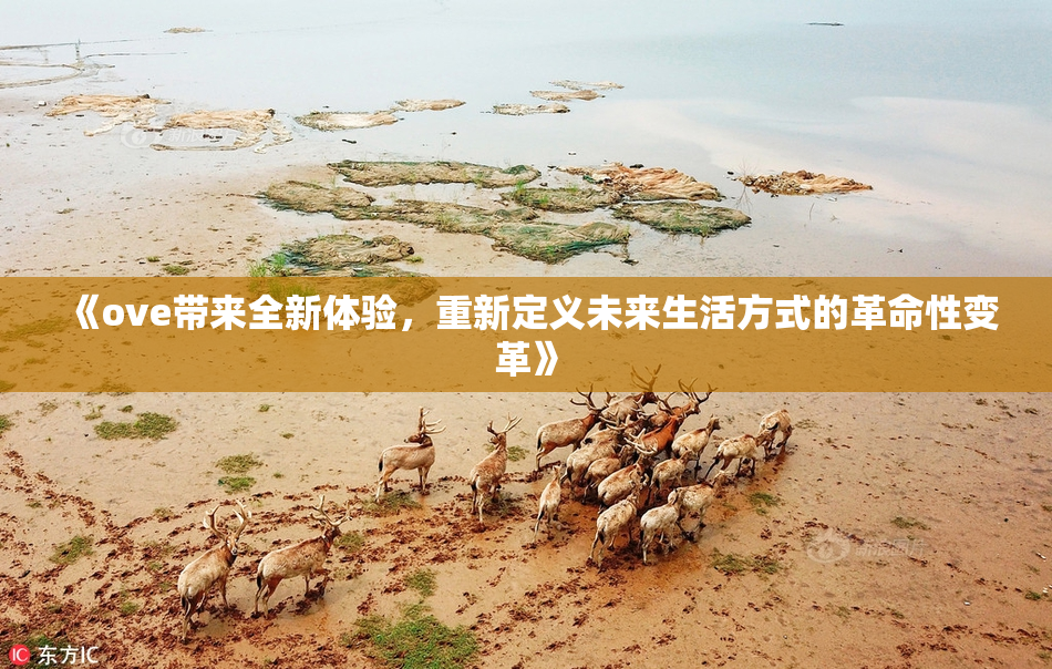 《ove带来全新体验，重新定义未来生活方式的革命性变革》