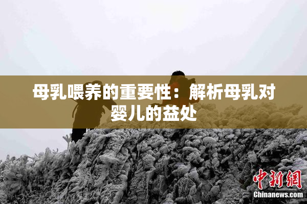 母乳喂养的重要性：解析母乳对婴儿的益处