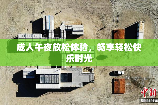 成人午夜放松体验，畅享轻松快乐时光
