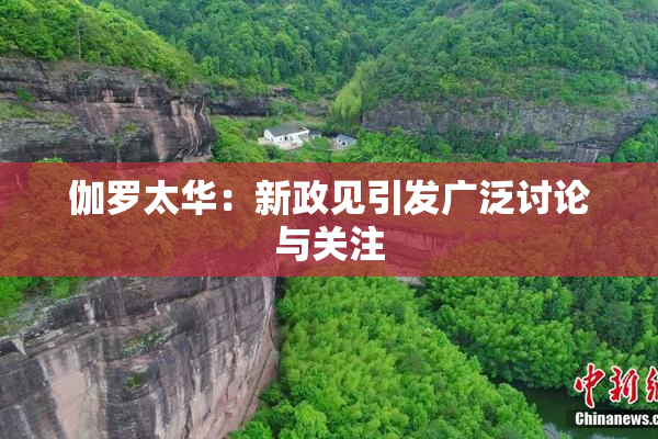 伽罗太华：新政见引发广泛讨论与关注
