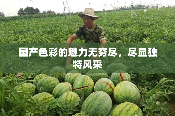 国产色彩的魅力无穷尽，尽显独特风采