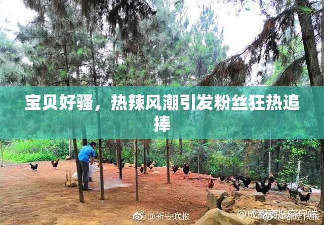 宝贝好骚，热辣风潮引发粉丝狂热追捧
