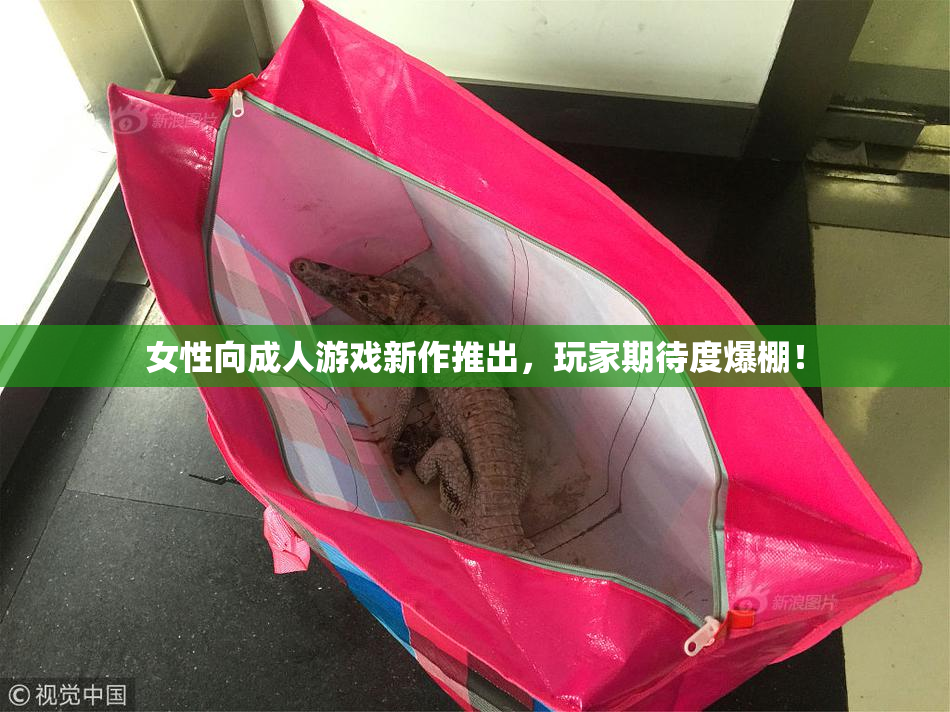 女性向成人游戏新作推出，玩家期待度爆棚！