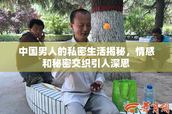 中国男人的私密生活揭秘，情感和秘密交织引人深思
