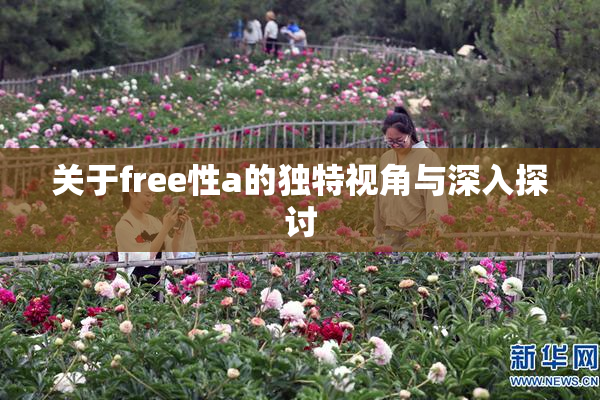 关于free性a的独特视角与深入探讨