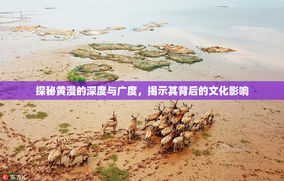 探秘黄漫的深度与广度，揭示其背后的文化影响