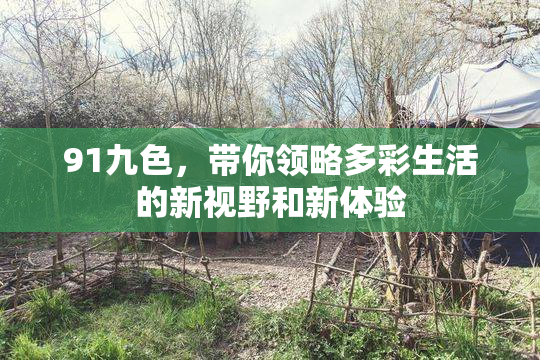 91九色，带你领略多彩生活的新视野和新体验