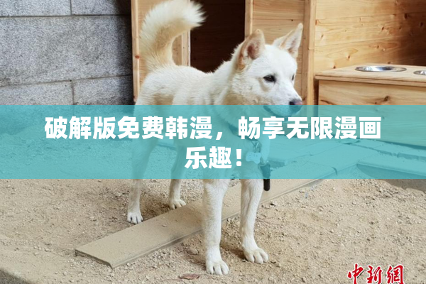 破解版免费韩漫，畅享无限漫画乐趣！