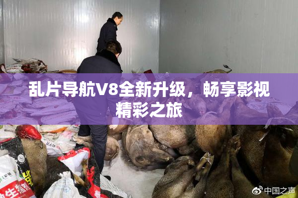 乱片导航V8全新升级，畅享影视精彩之旅