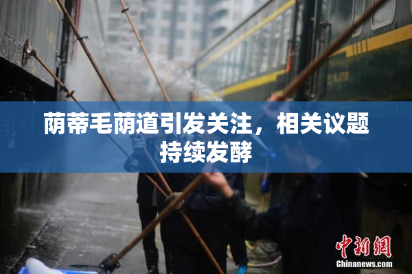 荫蒂毛荫道引发关注，相关议题持续发酵