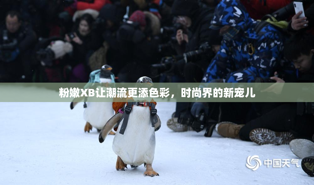 粉嫩XB让潮流更添色彩，时尚界的新宠儿