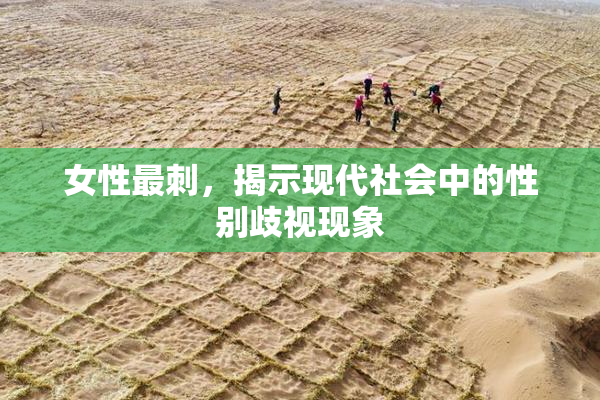 女性最刺，揭示现代社会中的性别歧视现象