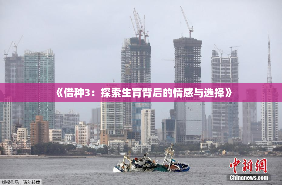《借种3：探索生育背后的情感与选择》