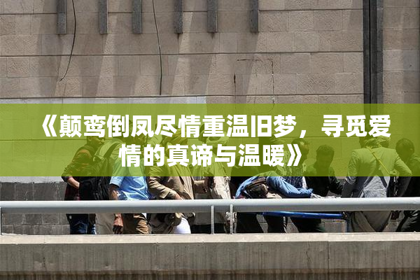 《颠鸾倒凤尽情重温旧梦，寻觅爱情的真谛与温暖》