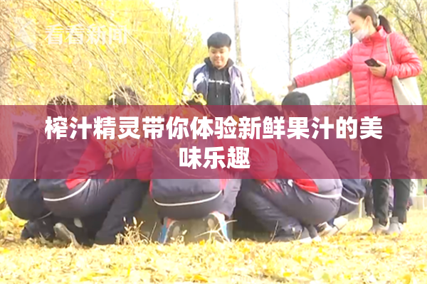 榨汁精灵带你体验新鲜果汁的美味乐趣