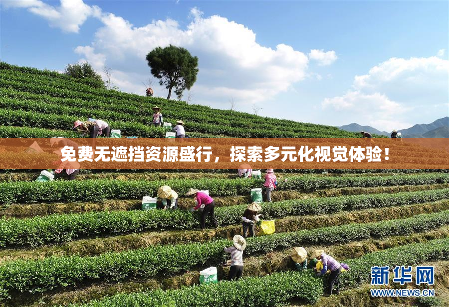 免费无遮挡资源盛行，探索多元化视觉体验！
