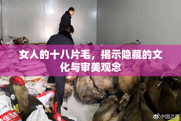 女人的十八片毛，揭示隐藏的文化与审美观念