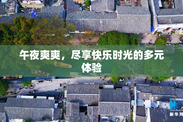 午夜爽爽，尽享快乐时光的多元体验