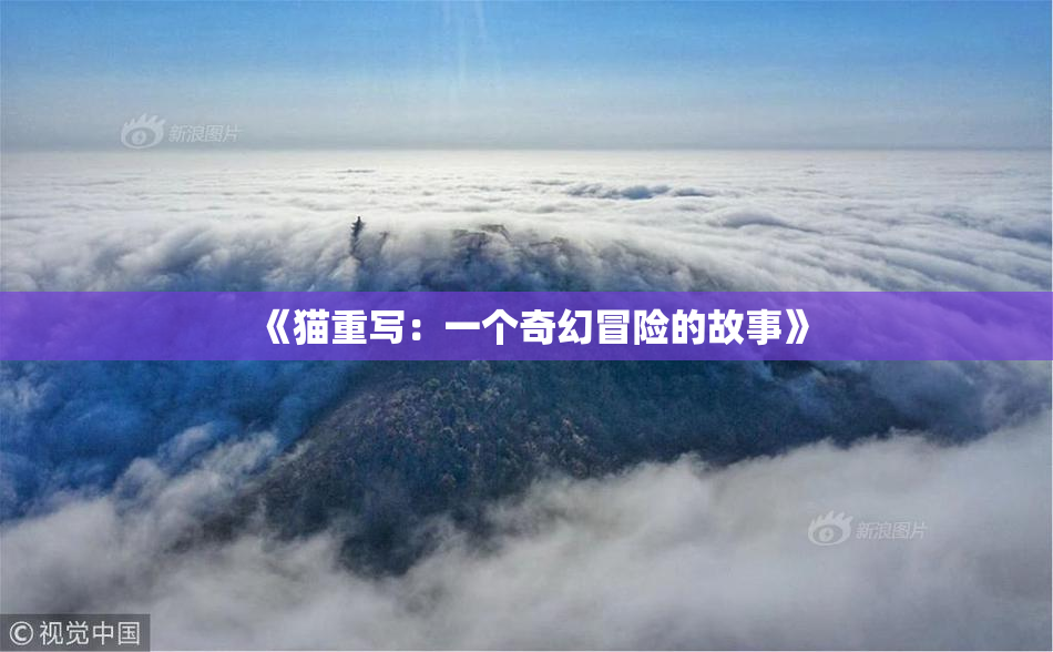 《猫重写：一个奇幻冒险的故事》