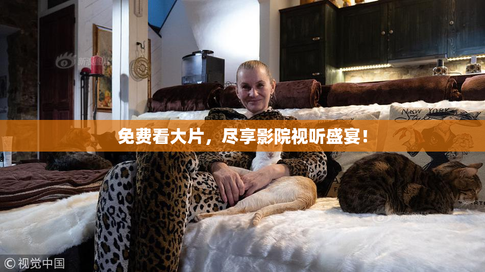 免费看大片，尽享影院视听盛宴！