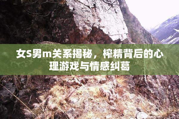 女S男m关系揭秘，榨精背后的心理游戏与情感纠葛