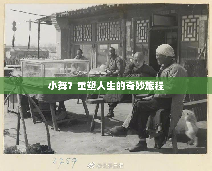 小舞？重塑人生的奇妙旅程
