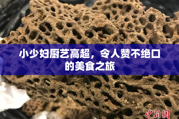 小少妇厨艺高超，令人赞不绝口的美食之旅