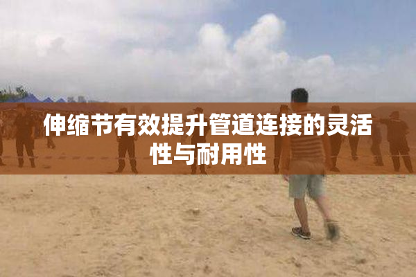伸缩节有效提升管道连接的灵活性与耐用性