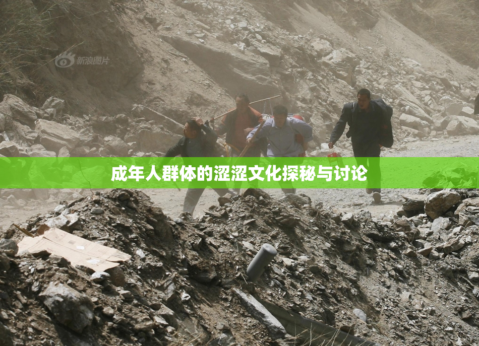 成年人群体的涩涩文化探秘与讨论