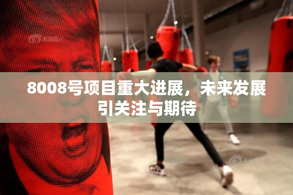 8008号项目重大进展，未来发展引关注与期待