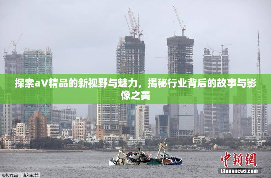 探索aV精品的新视野与魅力，揭秘行业背后的故事与影像之美