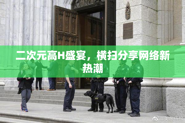 二次元高H盛宴，横扫分享网络新热潮