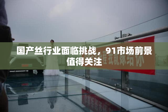 国产丝行业面临挑战，91市场前景值得关注