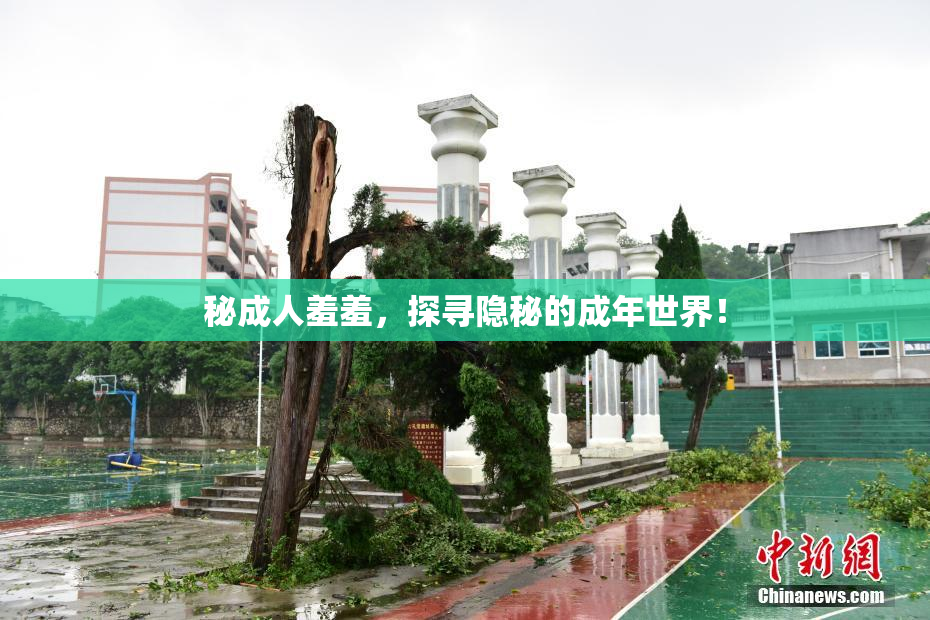 秘成人羞羞，探寻隐秘的成年世界！
