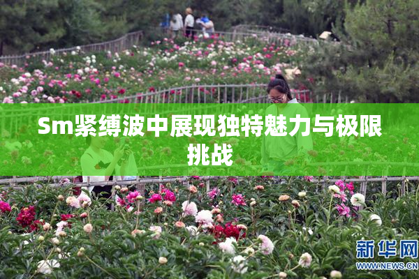 Sm紧缚波中展现独特魅力与极限挑战