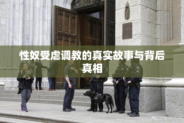性奴受虐调教的真实故事与背后真相