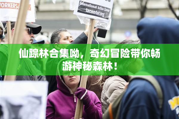 仙踪林合集呦，奇幻冒险带你畅游神秘森林！