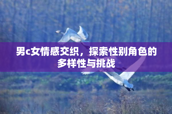 男c女情感交织，探索性别角色的多样性与挑战