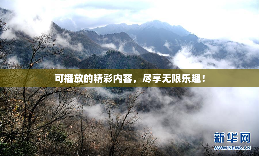 可播放的精彩内容，尽享无限乐趣！