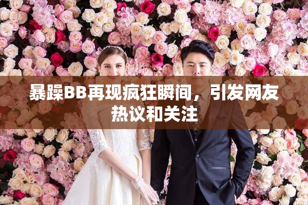 暴躁BB再现疯狂瞬间，引发网友热议和关注