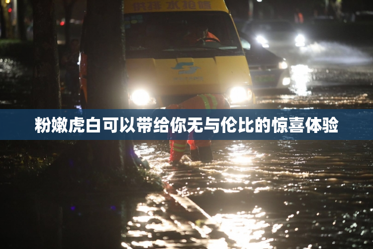 粉嫩虎白可以带给你无与伦比的惊喜体验