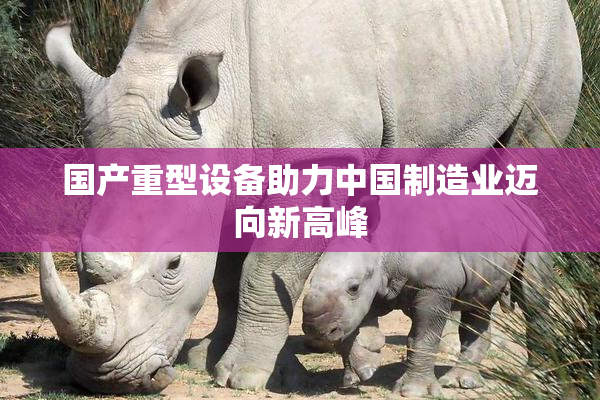 国产重型设备助力中国制造业迈向新高峰
