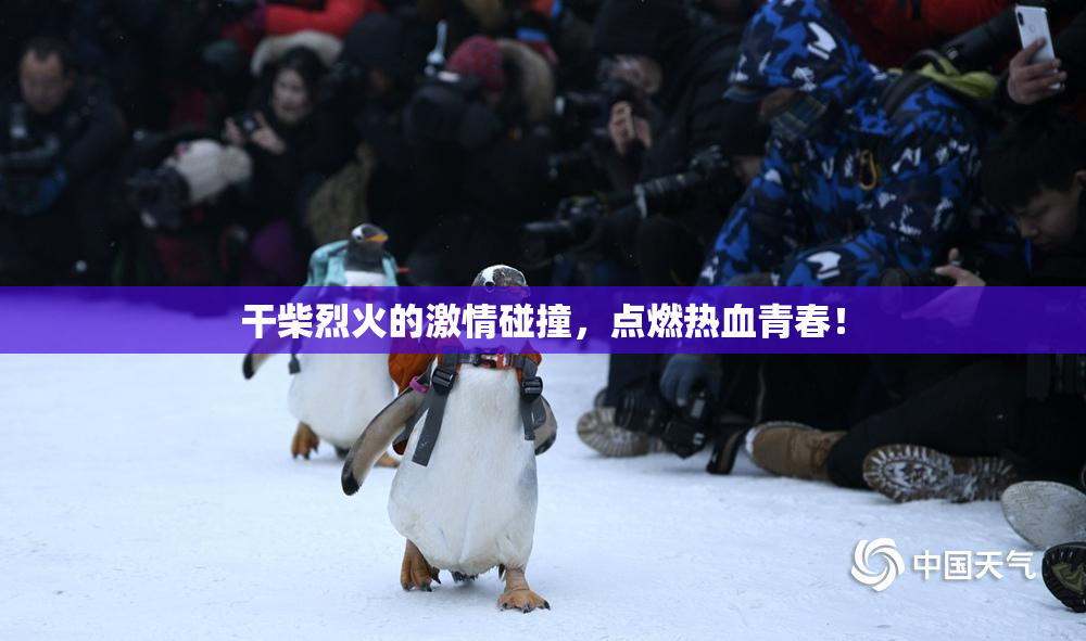 干柴烈火的激情碰撞，点燃热血青春！