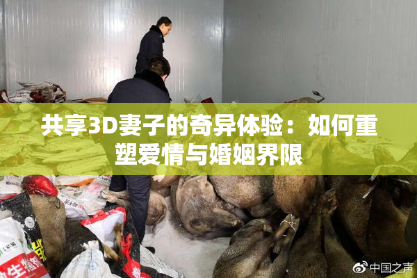 共享3D妻子的奇异体验：如何重塑爱情与婚姻界限