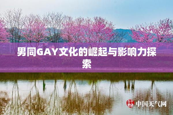 男同GAY文化的崛起与影响力探索
