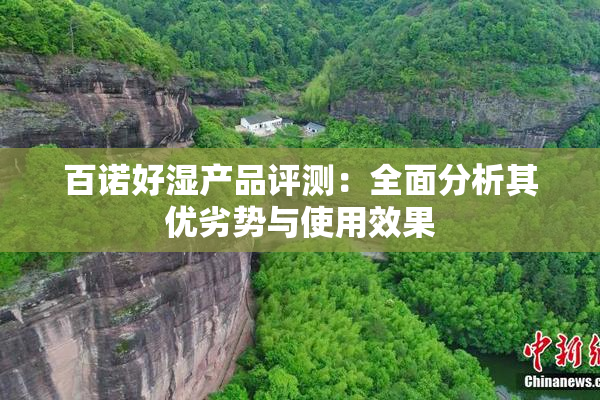 百诺好湿产品评测：全面分析其优劣势与使用效果