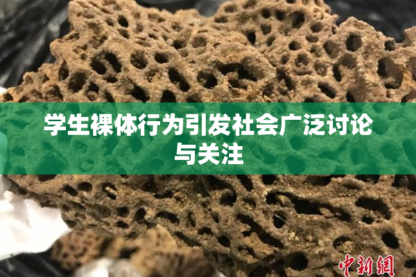 学生裸体行为引发社会广泛讨论与关注