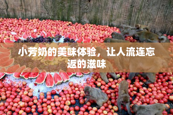 小芳奶的美味体验，让人流连忘返的滋味