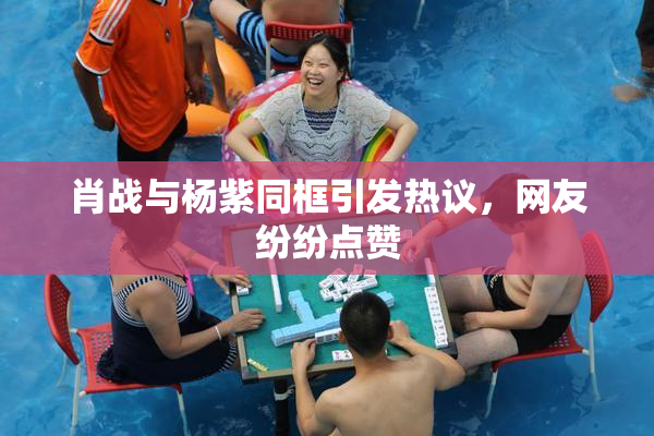 肖战与杨紫同框引发热议，网友纷纷点赞