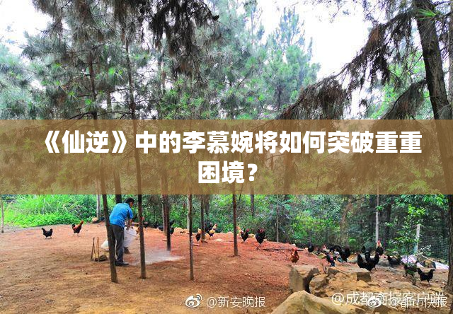 《仙逆》中的李慕婉将如何突破重重困境？